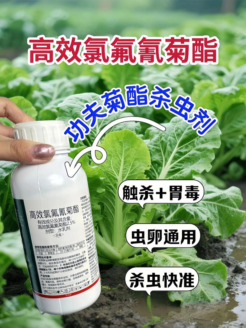 泉州代生中心:农药对供卵代生妈妈的危害